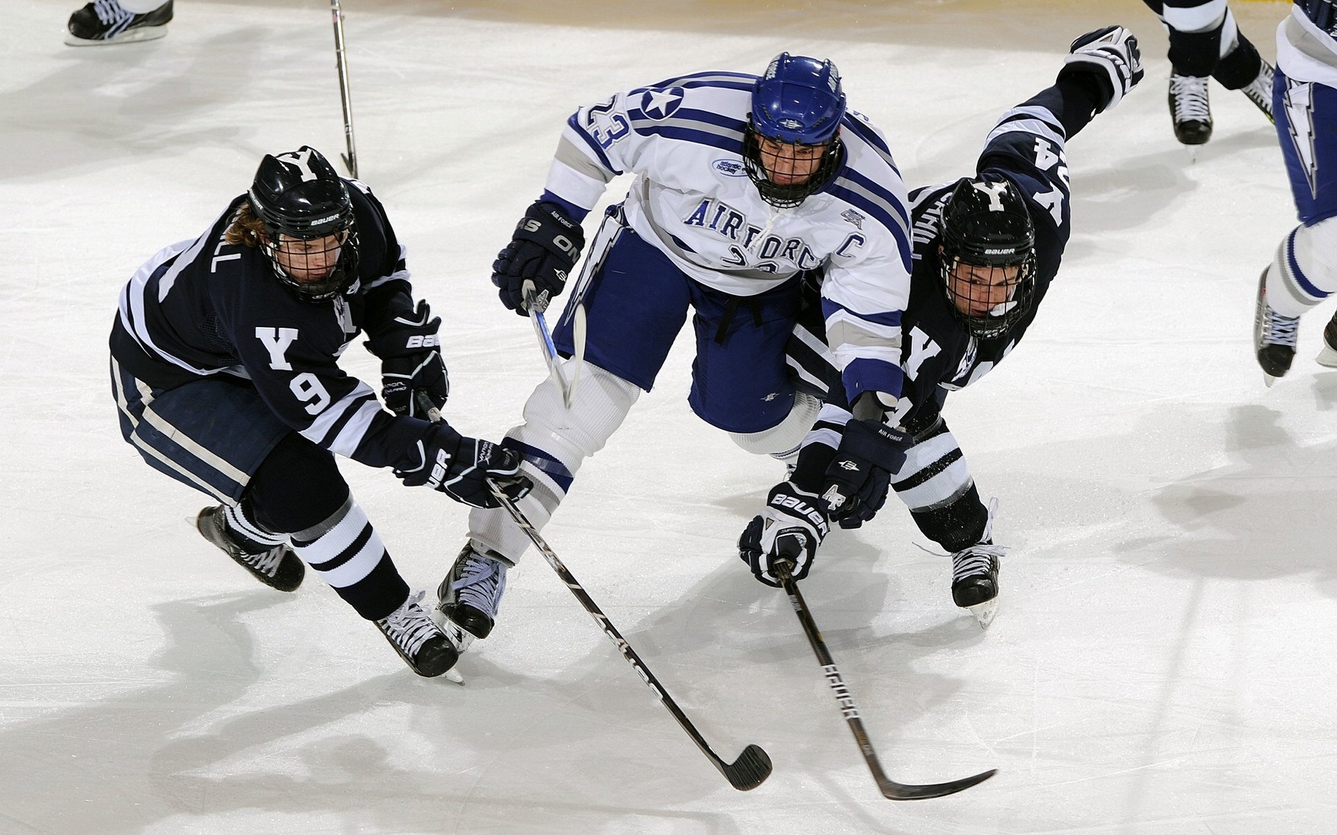 “运动舞蹈赛事:金牛区城北体育馆成为全球舞者展示实力的竞技场”